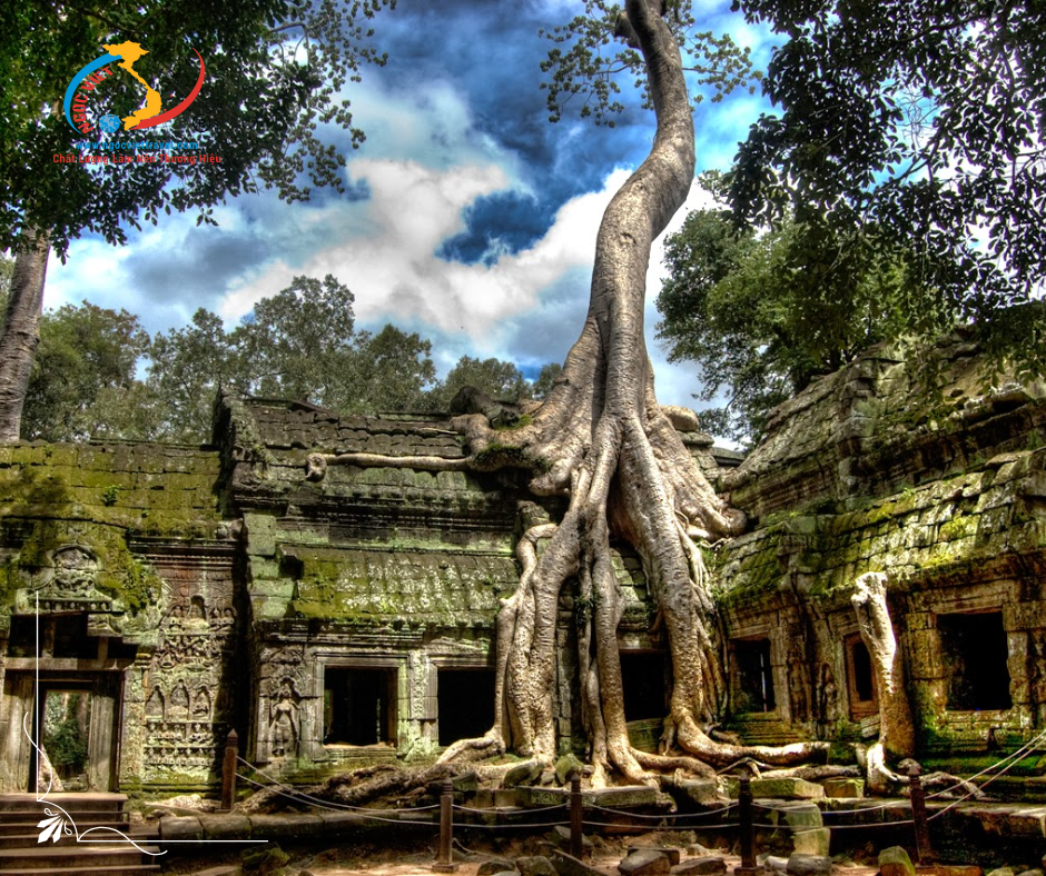 TOUR CAMBODIA - SIEM REAP - PHNOMPENH - DIRECT FLY FROM HANOI